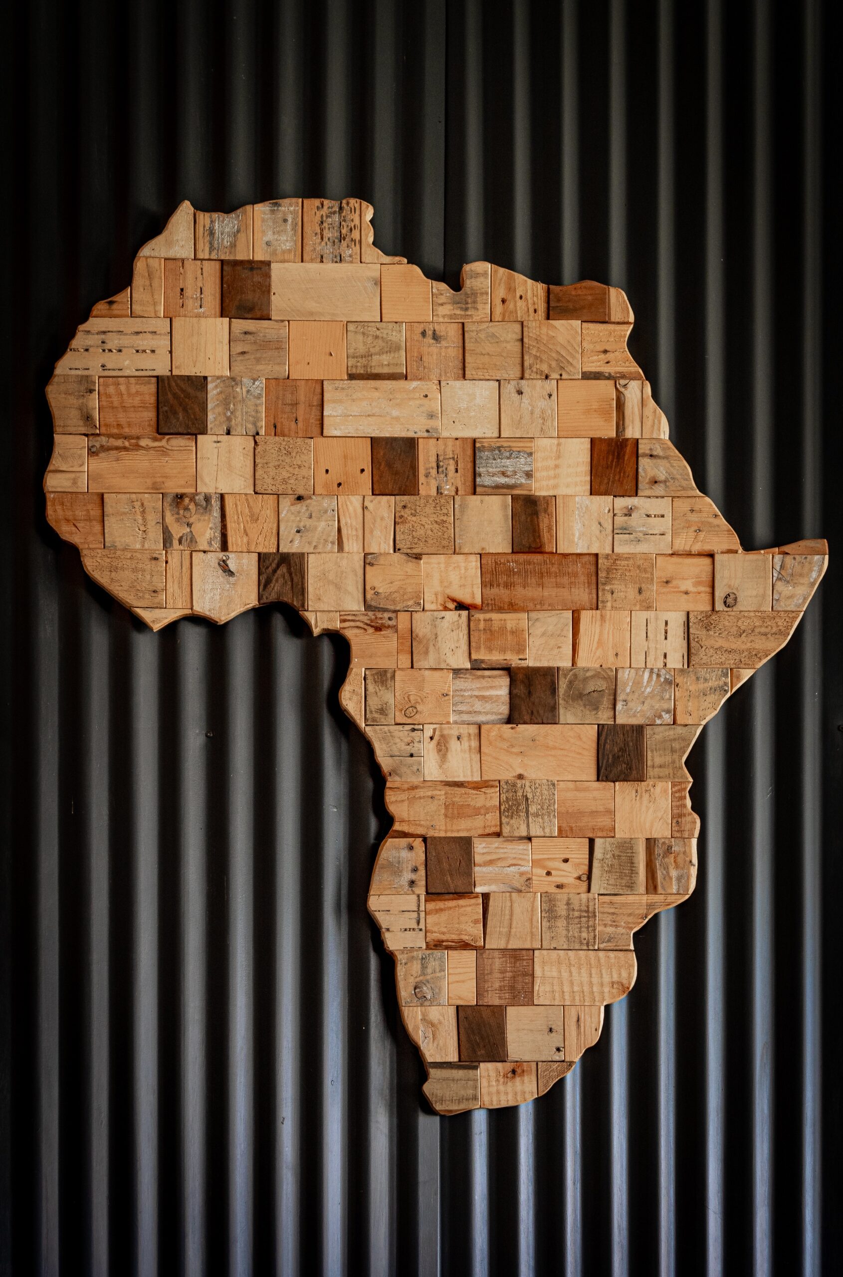 Africa is bigger than China, USA, India, Mexico: Black History month focus on Africa