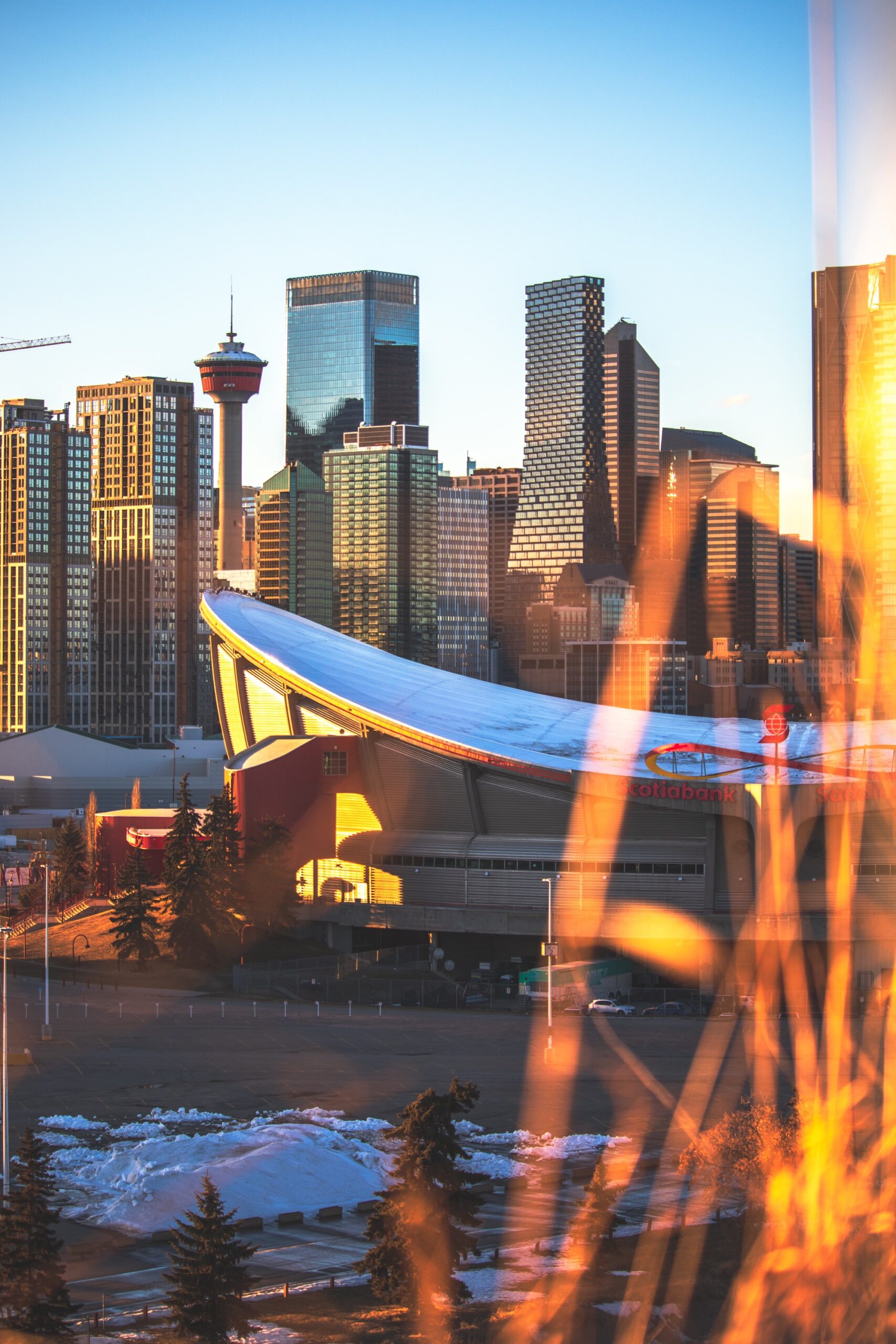 Why are more investors and immigrants moving to Calgary?