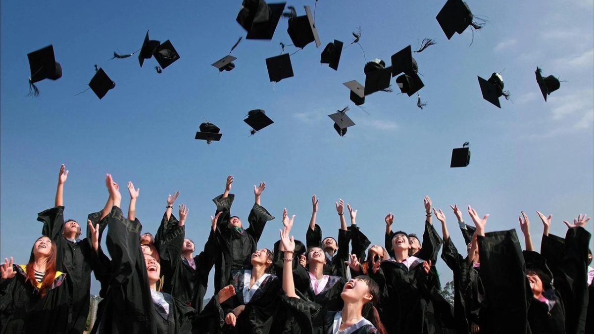 Canada’s York University stops new admissions for 18 degree programs