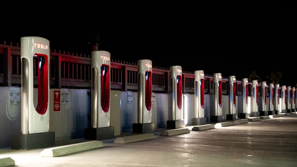 Did you that “Canadian” Elon Musk has 12 children and plans to have more?