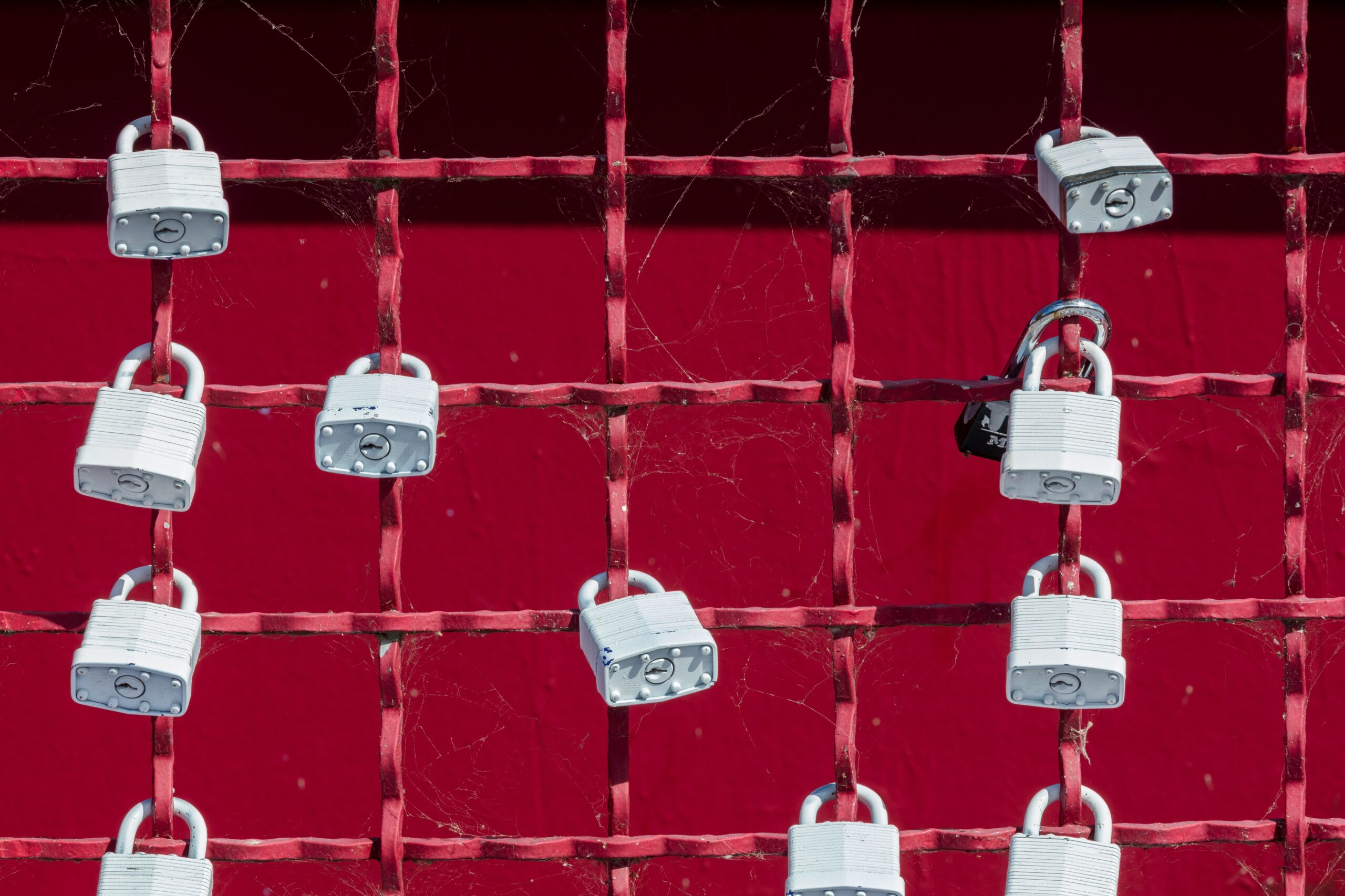 Data-First Financial Protection Can Save Canadians Money and Stress